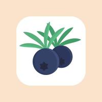 juniper berries icon in flat style on white vector