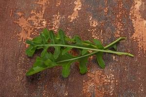 Green fresh Rocket leaves photo