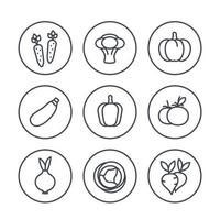 Vegetables line icons in circles on white, vector illustration