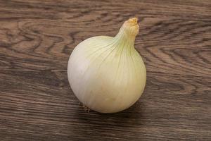 White ripe sweet onion vegetable photo