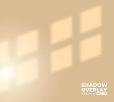 Realistic shadow overlay effect of room window pane vector