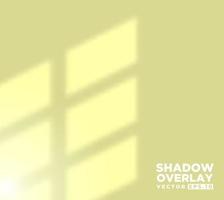 Realistic shadow overlay effect of room window pane vector