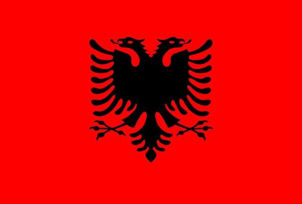 Albania flag vector icon in official color and proportion correctly