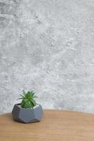 Echeveria succulent plant in a pot on a round table on a spotted gray wall. Background for stories