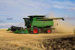 big harvester works in summer wheat fierlds photo
