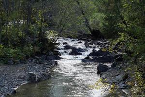 río de montaña con fondo de piedras, bosques y rocas foto