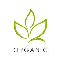 green organic logo vector