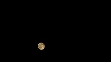8K Full Moon Rising in Cloudless Night Sky