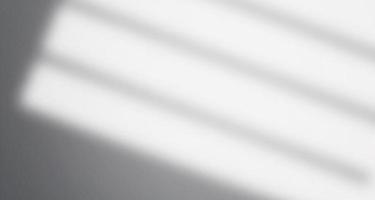 ventanas de luz natural borrosas realistas y minimalistas, superposición de sombras de hojas en la textura del papel de pared, fondo abstracto, verano, primavera, otoño para el podio de presentación del producto y maqueta estacional foto