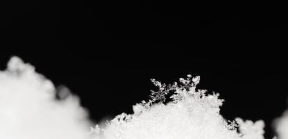 fused snow crystals on black panorama photo