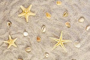 Summer background. Sea sand with seashells, starfish and sunglasses. Summer vacation concept photo