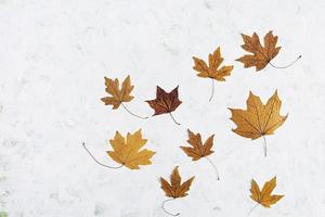 Helloween concept. Autumn composition with leaves and mini pumpkins. Top view photo