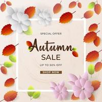 autumn sale background promotion beauty full leave and flowers fink color white