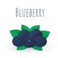 Blueberries with leaves isolated on white background. Blueberry flat icon. vector