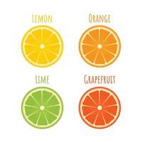 conjunto de iconos de cítricos en estilo plano. rodajas de naranja, lima, limón, pomelo aislado en blanco. ilustración vectorial de frutas frescas. el concepto de dieta, alimentación saludable y nutrición. vector