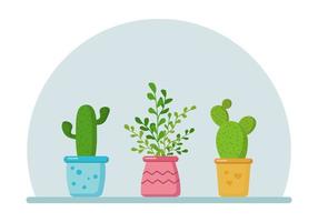 Set of home plants in pots. Flowers for the home. vector