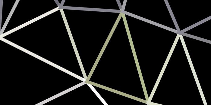 Light gray vector poly triangle layout.