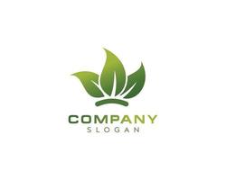 Fresh natural leaf vector logo design-green leaf vector-colorful logo design-Eco natural green color vector logo design