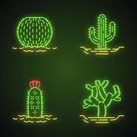 conjunto de iconos de luz de neón de cactus silvestres en tierra. suculenta tropical. planta espinosa. cactus barril, cholla, saguaro, cactus erizo. signos brillantes. Ilustraciones de vectores aislados