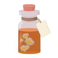 transparent bottles with essential oil and chamomile flowers, pharmaceutical and cosmetic product, vector