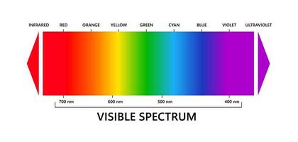 espectro de luz visible, infrarrojo y ultravioleta. espectro de color electromagnético visible para el ojo humano. diagrama de gradiente vectorial con longitud de onda y colores. ilustración educativa sobre fondo blanco vector