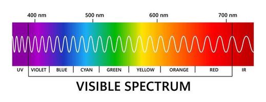 Visible light spectrum, infared and ultraviolet. Light wavelength. Electromagnetic visible color spectrum for human eye. Gradient diagram. Educational vector illustration on white background