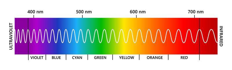 Human cheap light spectrum