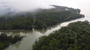 Aerial view fishing boat move at river near mangrove forest video