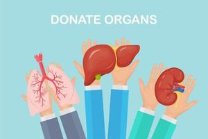 Donation organs. Doctors hands hold donor lungs, kidney, liver for transplantation. Volunteer aid. Vector design