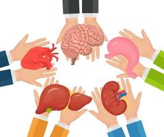 Donation organs. Doctors hands hold donor kidney, heart, liver, stomach, brain for transplantation. Vector design