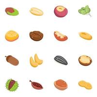 Collection of Nuts Isometric Icons vector