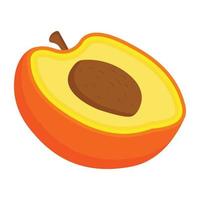 Apricot icon designed in isometric style vector