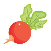 Grab his amazing isometric icon of radish vector