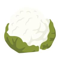 Healthy food, isometric icon of cauliflower vector