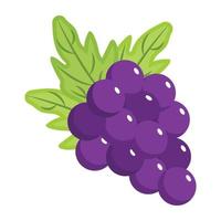 un delicioso ícono isométrico de uvas vector