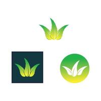 aloe vera logo design icon vector