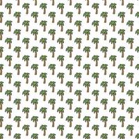 Seamless palm pattern. Colored palm background. Doodle tropic pattern with green palms. Vintage palms pattern vector
