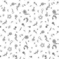 Seamless floral vector pattern. Doodle vector with floral pattern on white background. Vintage floral pattern