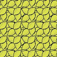 Seamless lemon pattern. Doodle vector with yellow lemon icons. Vintage lemon pattern