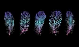 Feather Pattern hand drawn, vector. vector