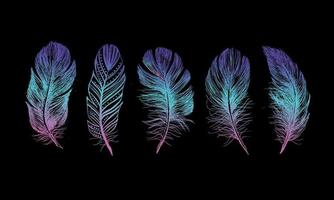 Feather Pattern hand drawn, vector. vector