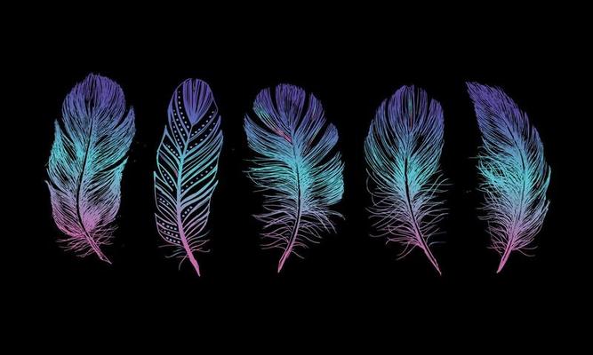 Feather Pattern hand drawn, vector.