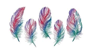 Feather Pattern hand drawn, vector. vector