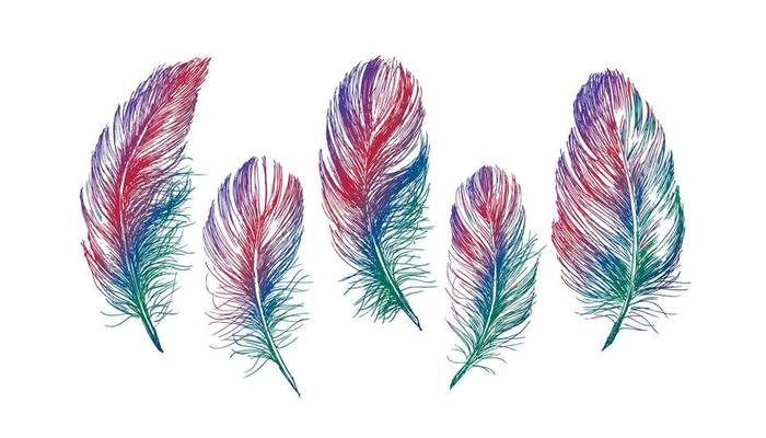 Feather Pattern hand drawn, vector.
