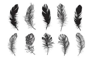 vector patrón de plumas en blanco y negro