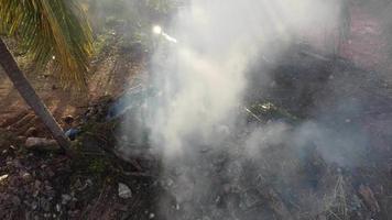 incendio en campo de plantas secas video