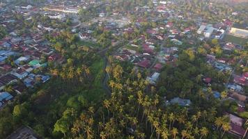 Sonnenaufgang über malaysischem Dorf, bepflanzt mit Kokospalme