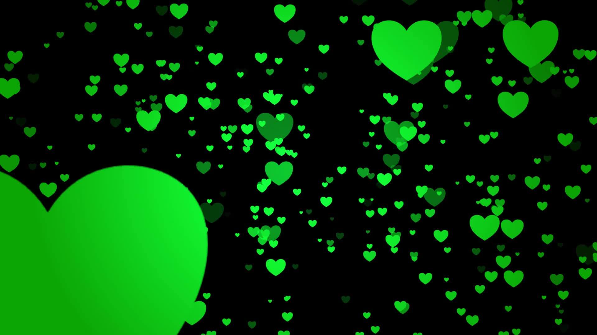Green Love Stock Video Footage for Free Download