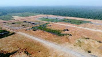 Aerial view oil palm tree is cut video