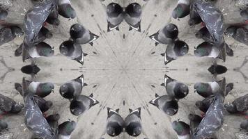 pombos de caleidoscópio em visão abstrata de 4k